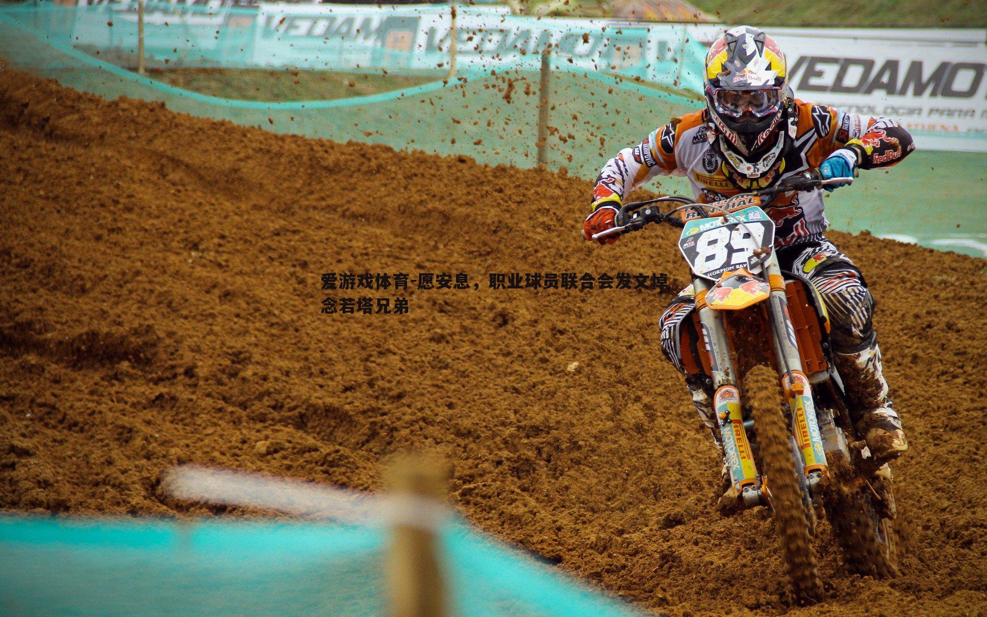 爱游戏体育-愿安息，职业球员联合会发文悼念若塔兄弟